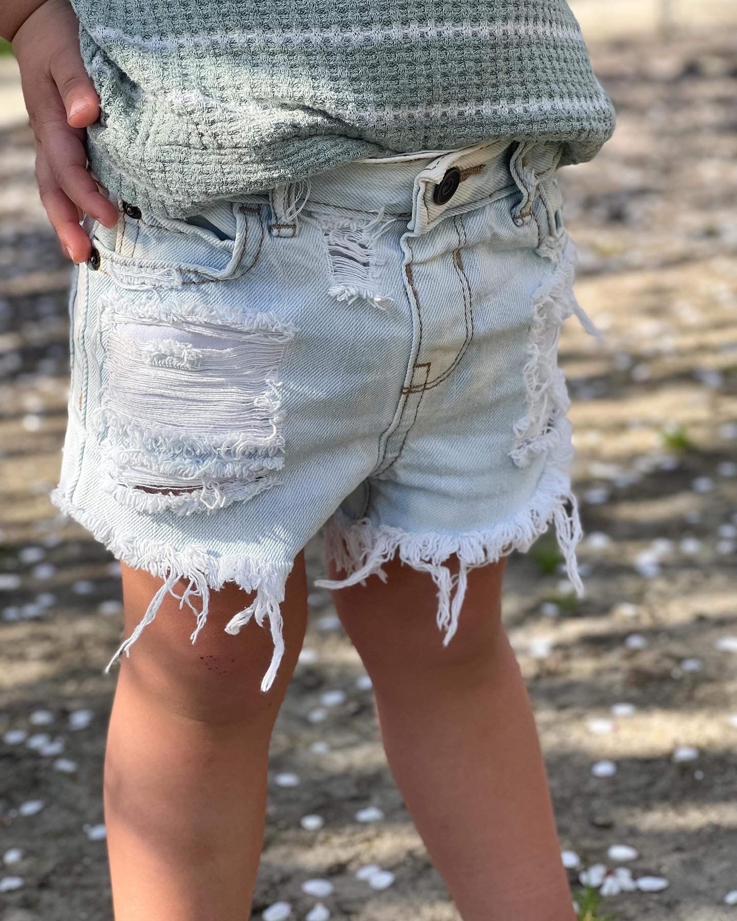 Boardwalk shorties